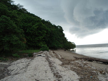 ISLA CEDROS COSTA RICA isla cedros costa rica: