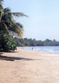 Playa Puerto Vargas