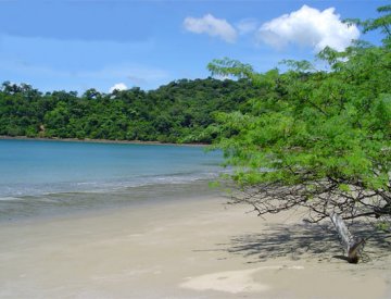 Playa Jobo