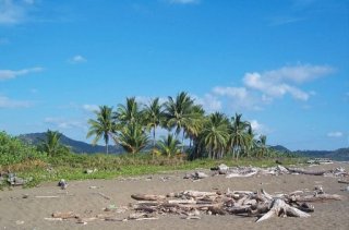Playa Bejuco
