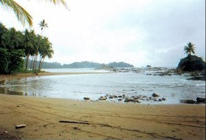 Playa Dominicalito