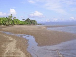 Playa Blanca (Jiménez)