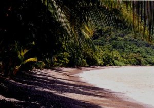 Playa San Josecito (Golfito)