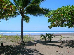 Playa Esterillos, Este, Centro y Oeste