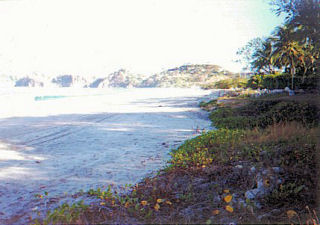 Playa Panamá (Chorotega)