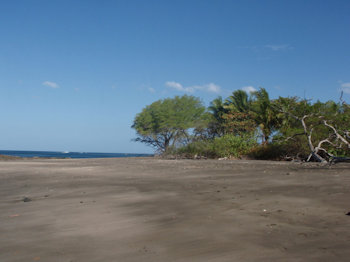Playa Arbolito