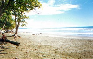 Playa Matapalo
