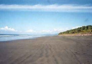 Playa Zancudo