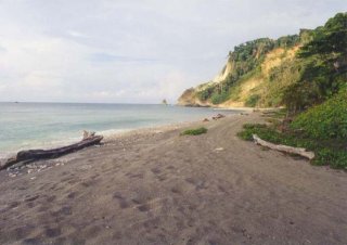 Playa Matapalo (Osa)
