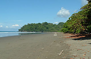 Playa Hermosa (Dominical)