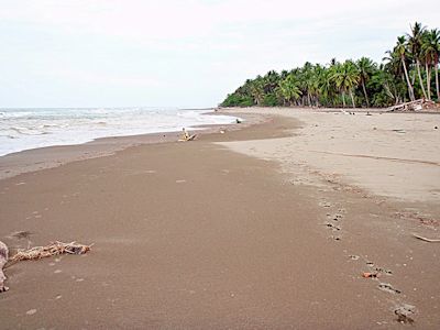 Playa Vizcaya